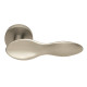 SPOON